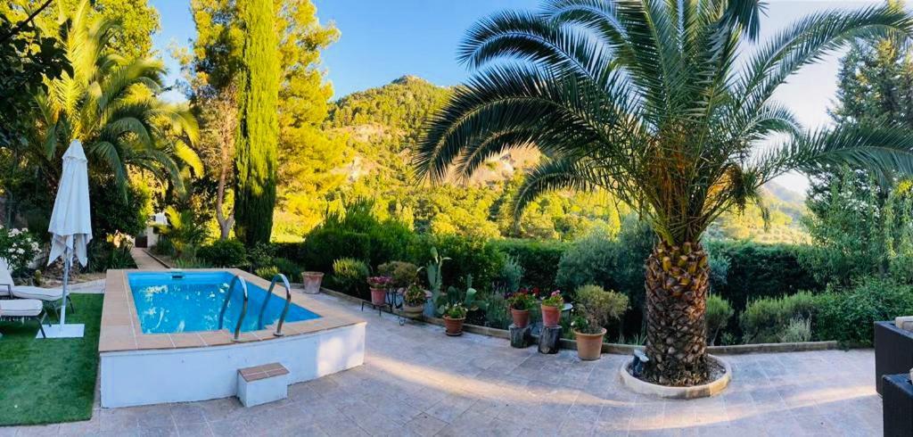 Villa Nueva Cazorla Mirador Cerro Del Escribano La Iruela Exterior foto
